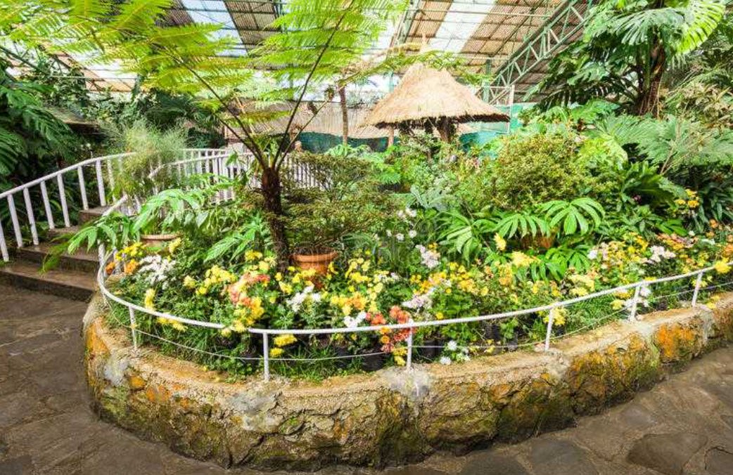 Flower Exhibition Centre - Ridge Park